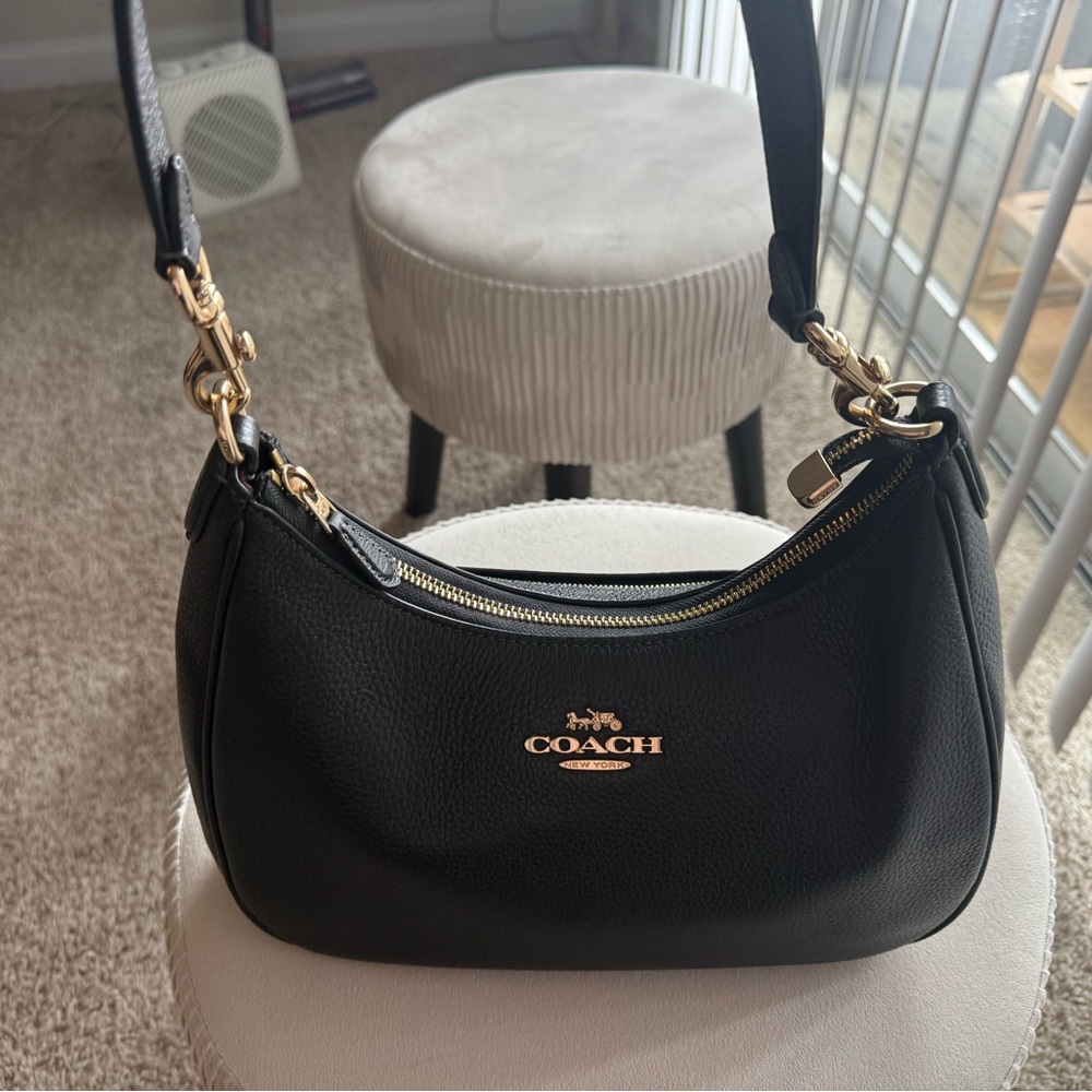 Teri Hobo Bag